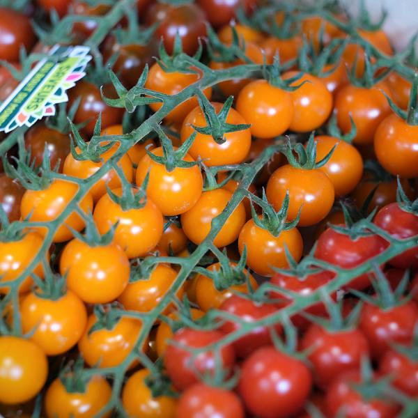 Cà chua cherry