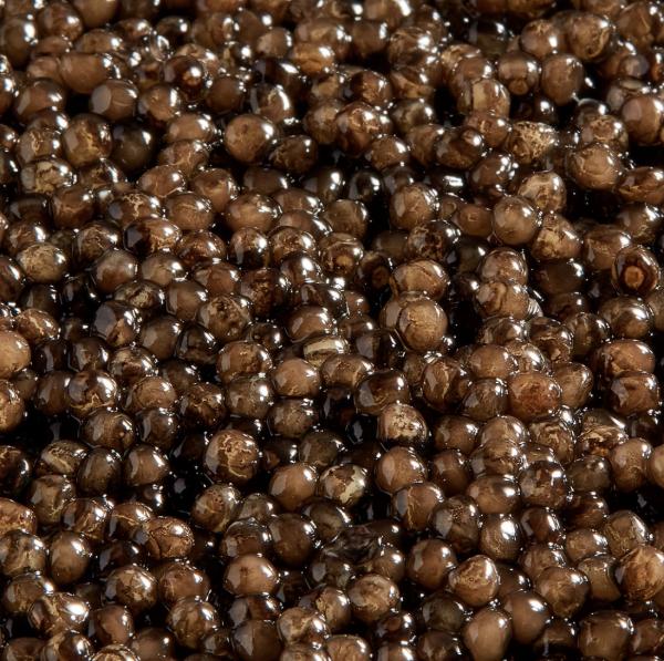 Kaspia Oscietra Selection Caviar