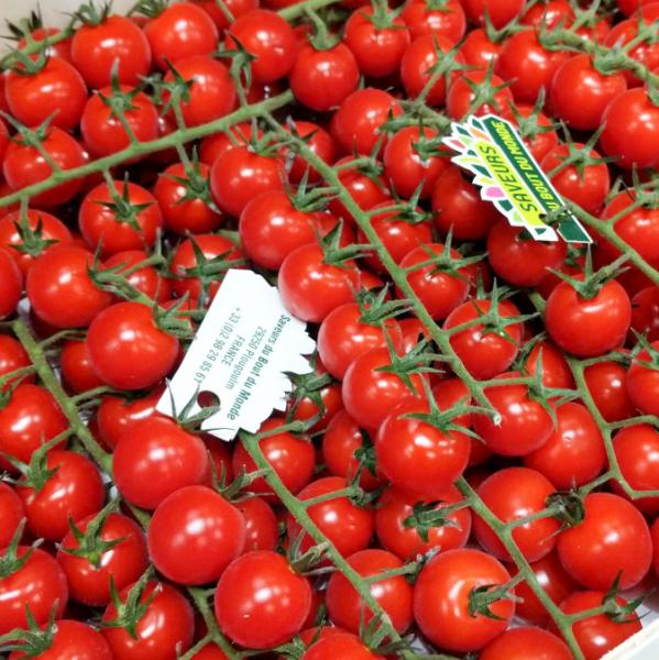 Cà chua cherry