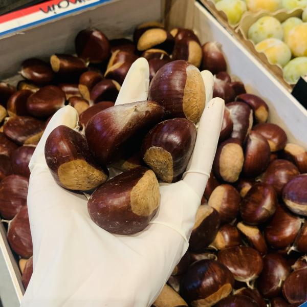 Hạt dẻ Pháp