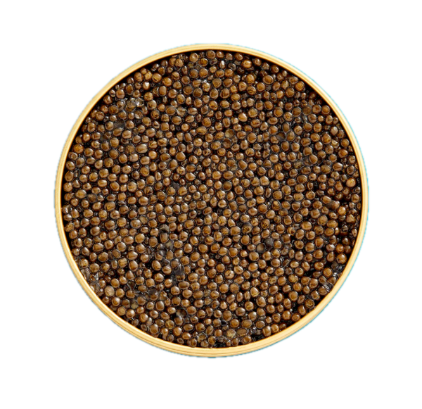 Kaspia Oscietra Royal Caviar