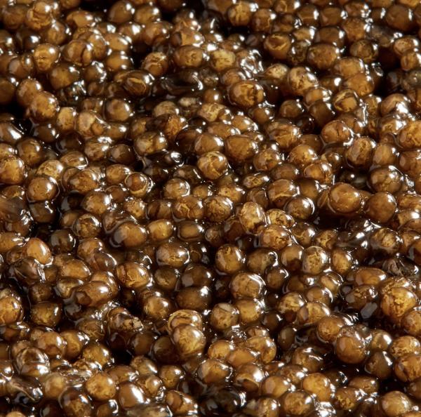 Kaspia Oscietra Royal Caviar