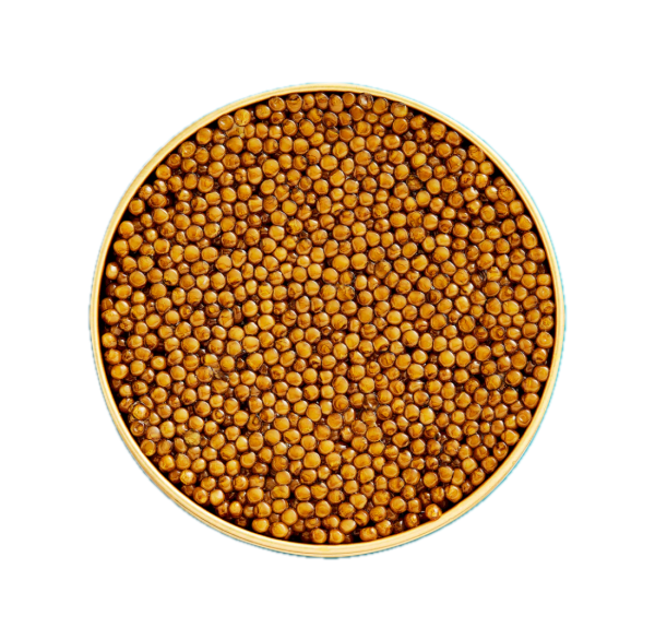 Kaspia Oscietra Gold Caviar