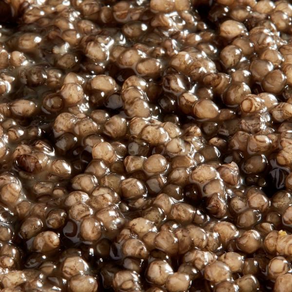 Kaspia Beluga Caviar