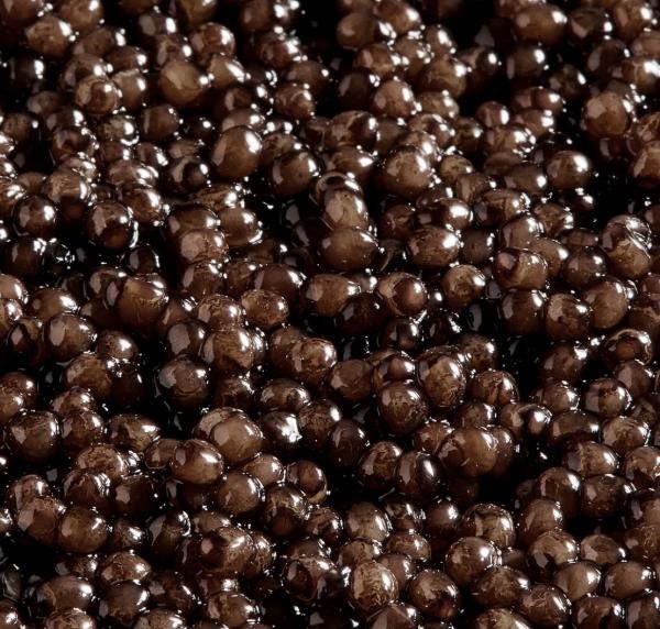 Kaspia Baeri Caviar