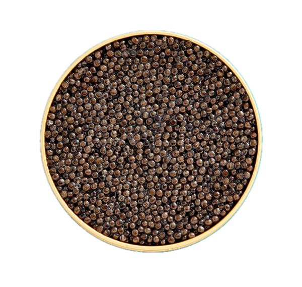 Kaspia Oscietra Selection Caviar