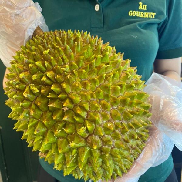 Sầu riêng Musang King Grade AA