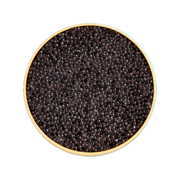 Kaspia Baeri Caviar