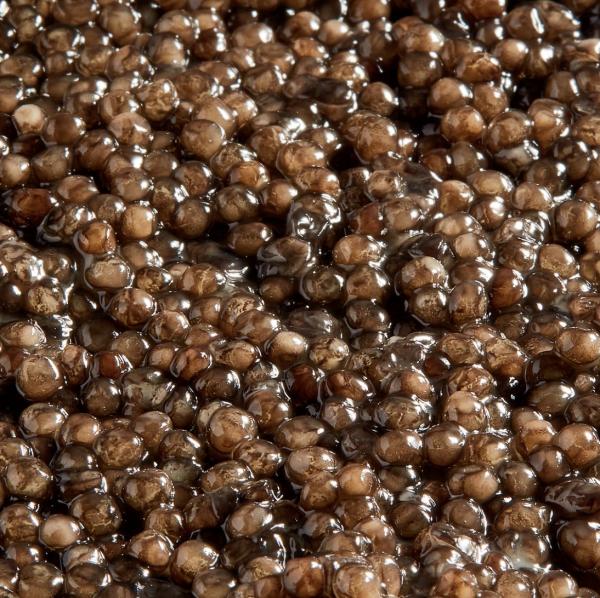 Kaspia Esturgeon Blanc Royal Caviar