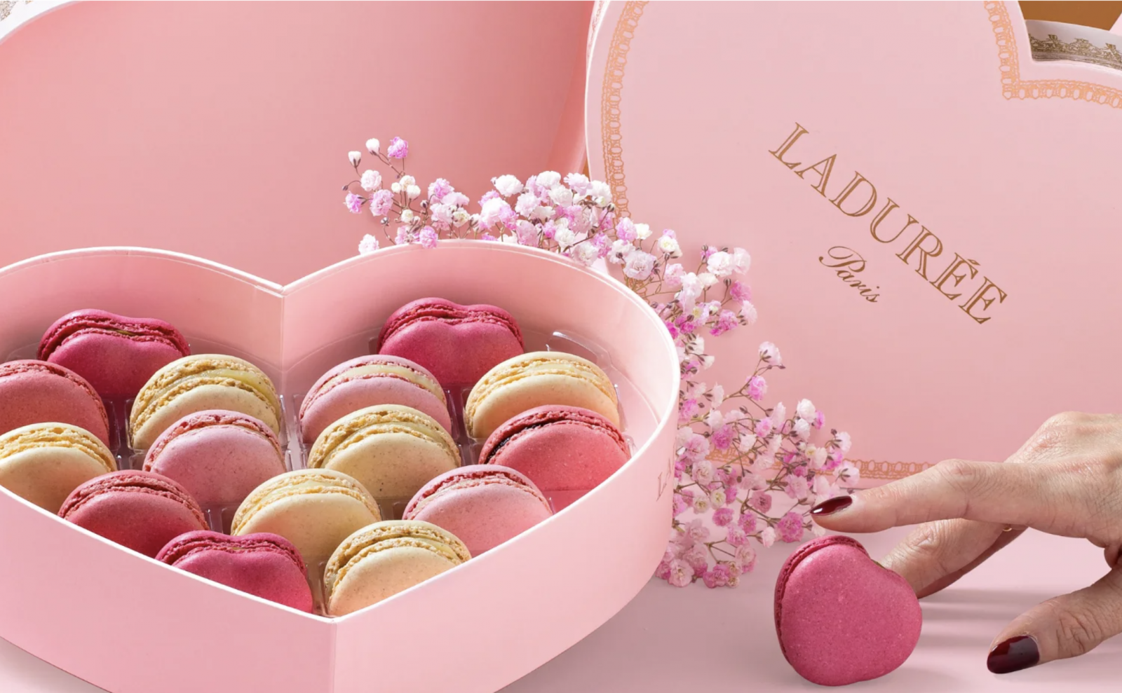 Bánh Macaron nhập khẩu