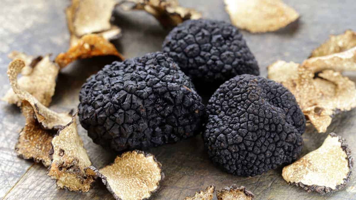 Cầu kỳ trong cách bảo quản Truffle