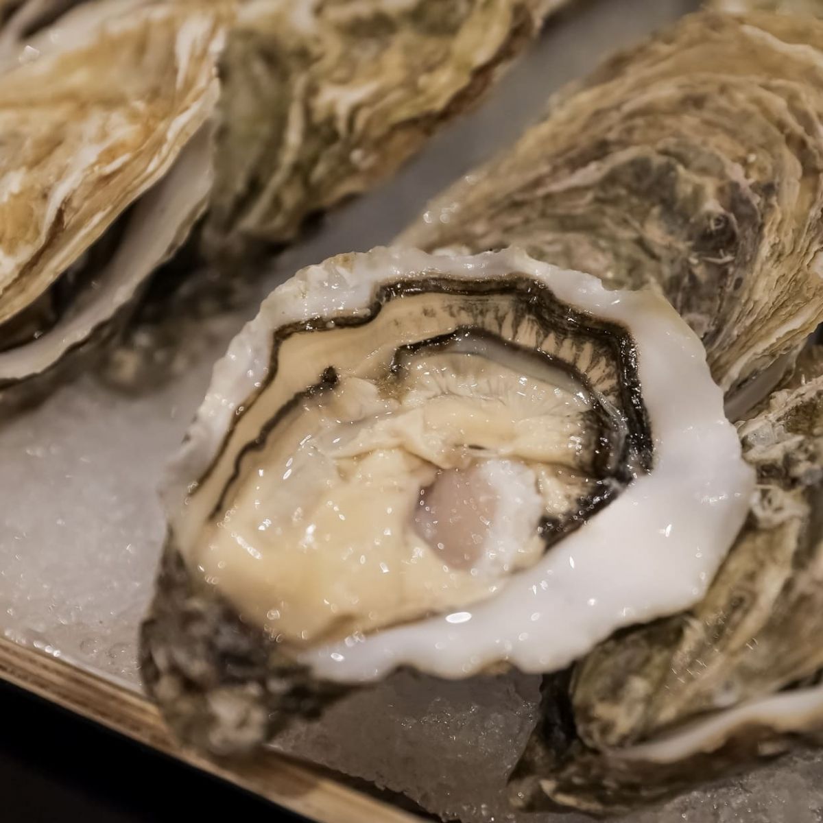 Chữ G bảo chứng nhận diện hàu Gillardeau