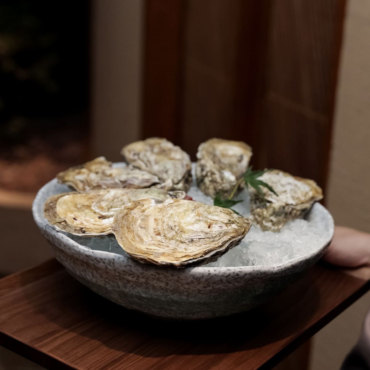 Hàu Gillardeau cấu trúc thịt dày trắng ngọc