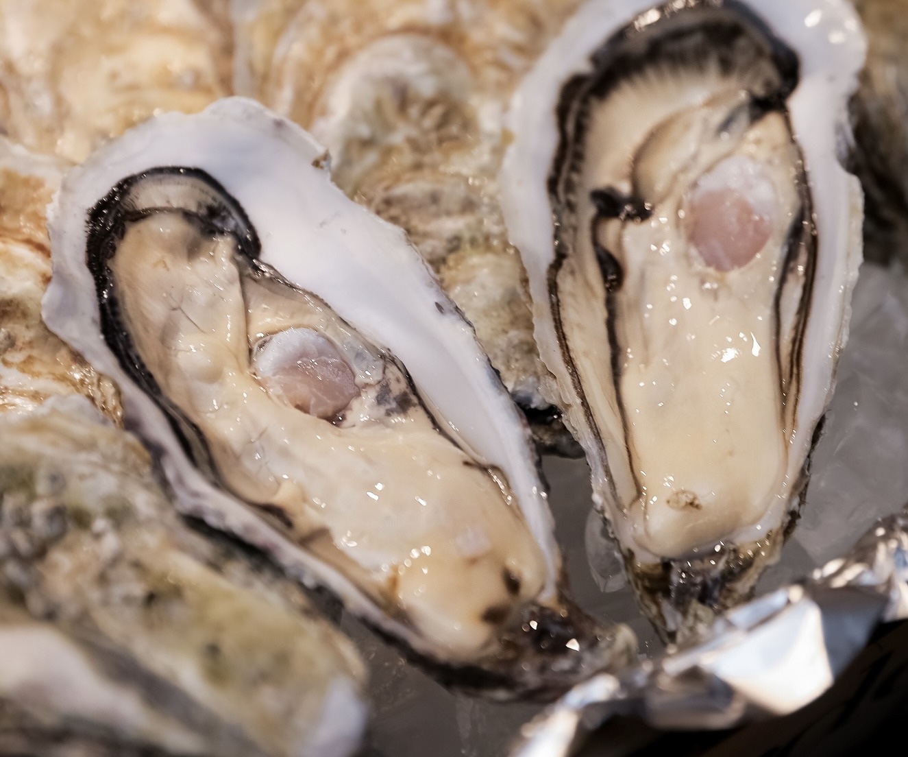 Hàu Gillardeau Pháp nhập khẩu tại Au Gourmet
