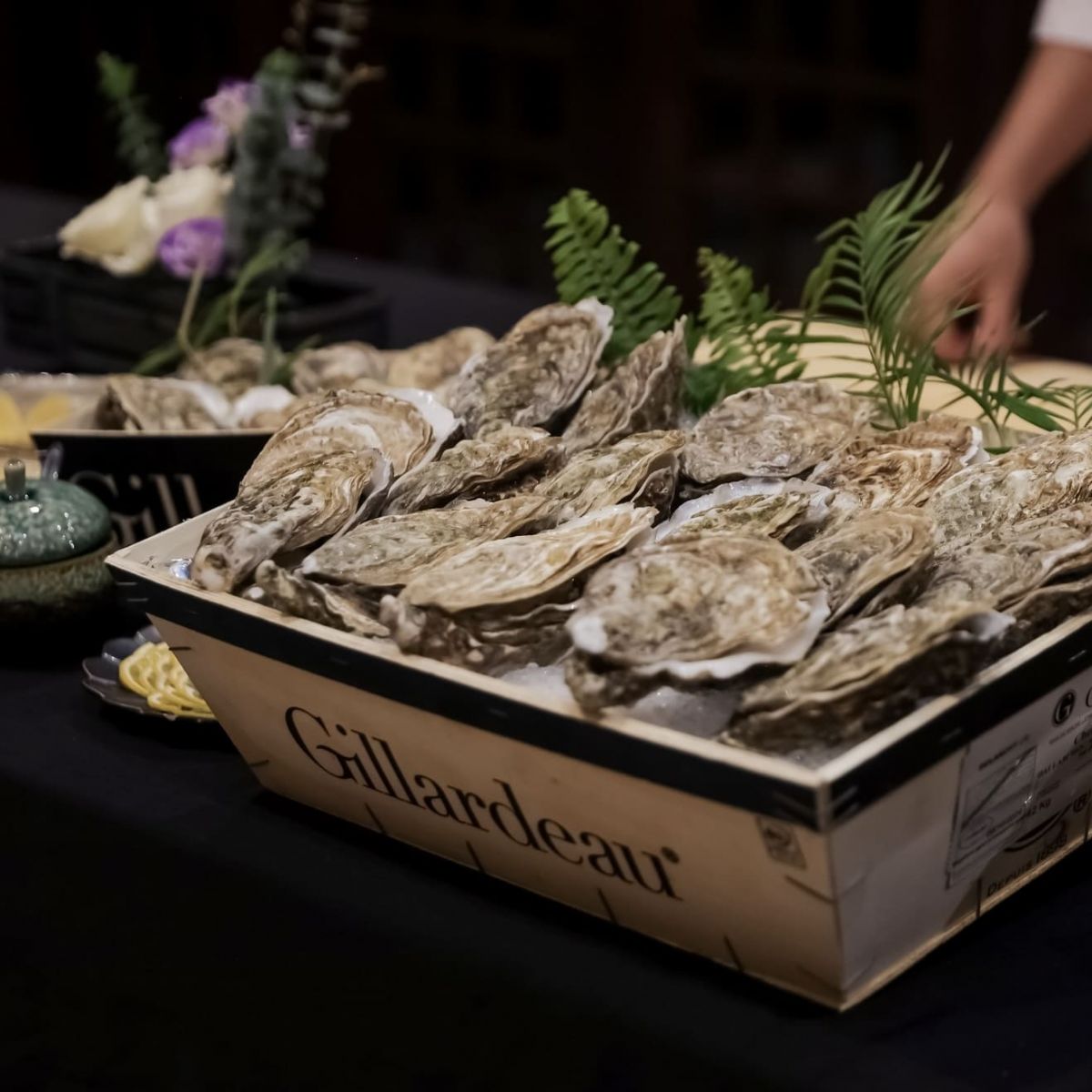 Hàu Gillardeau tinh tuyển chuẩn Pháp