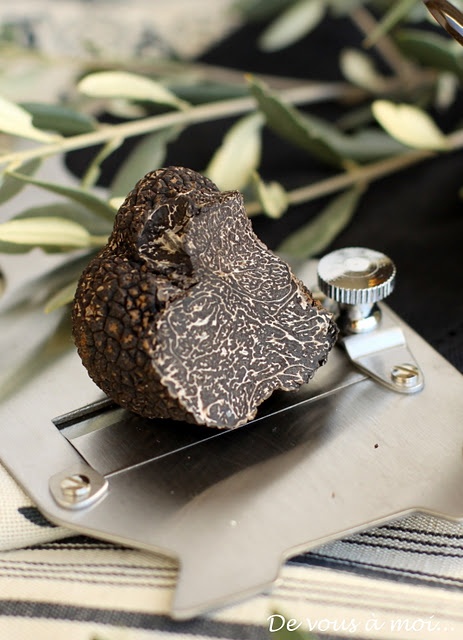 Nấm truffle phát triển trong điều kiện đặc biệt