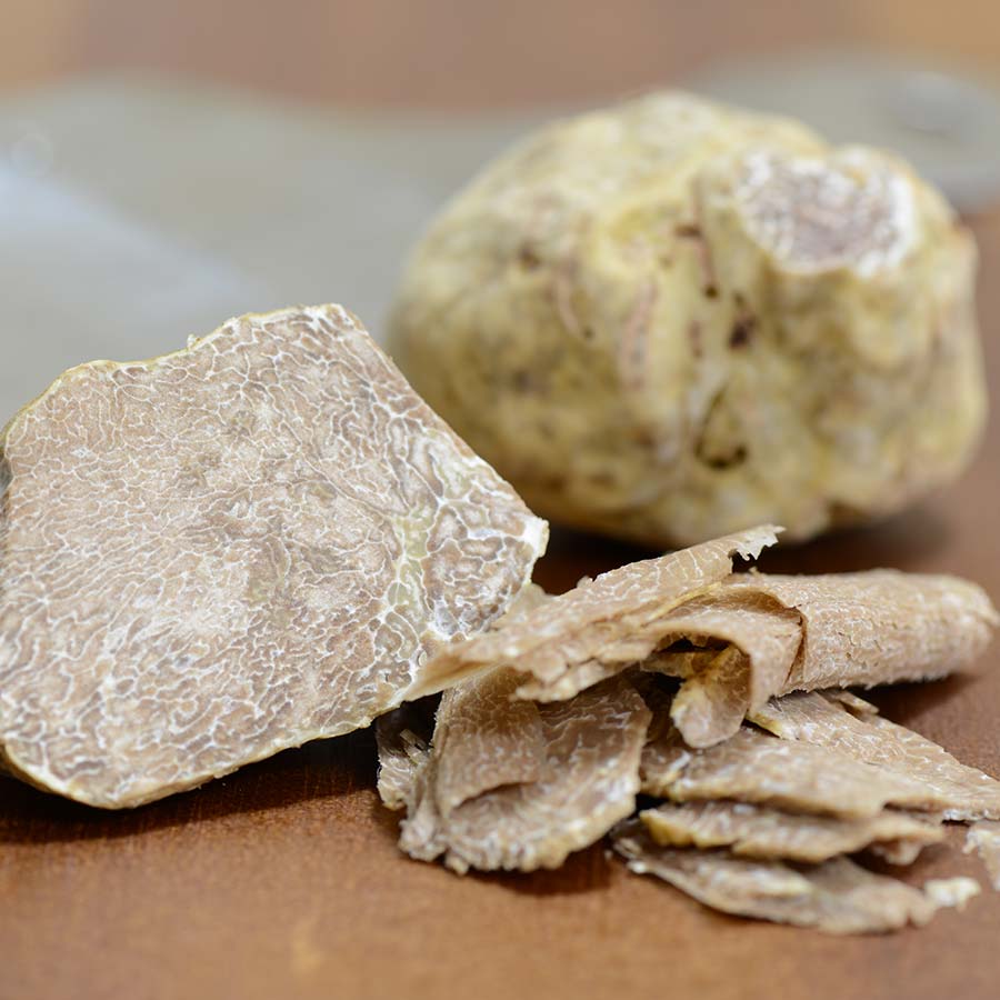 Nấm truffle trắng