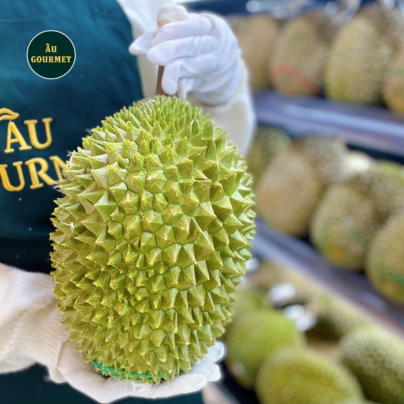 Những siêu phẩm từ sầu riêng Musang King hot nhất hiện nay