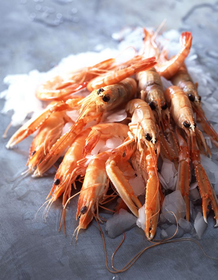 Tôm ngọt Langoustine được săn đón nhiều nhất dịp Tết