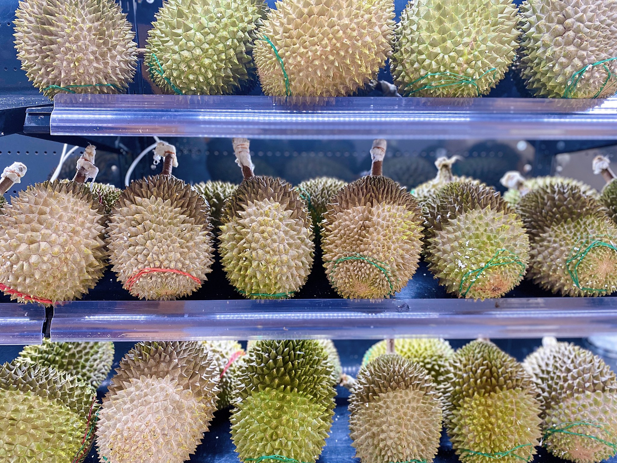 Sầu riêng Musang King nhập khẩu cao cấp!