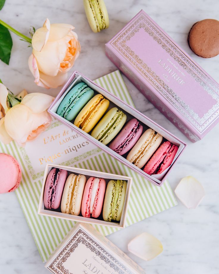 Thưởng thức macaron Pháp và nghệ thuật sống chậm kiểu Paris