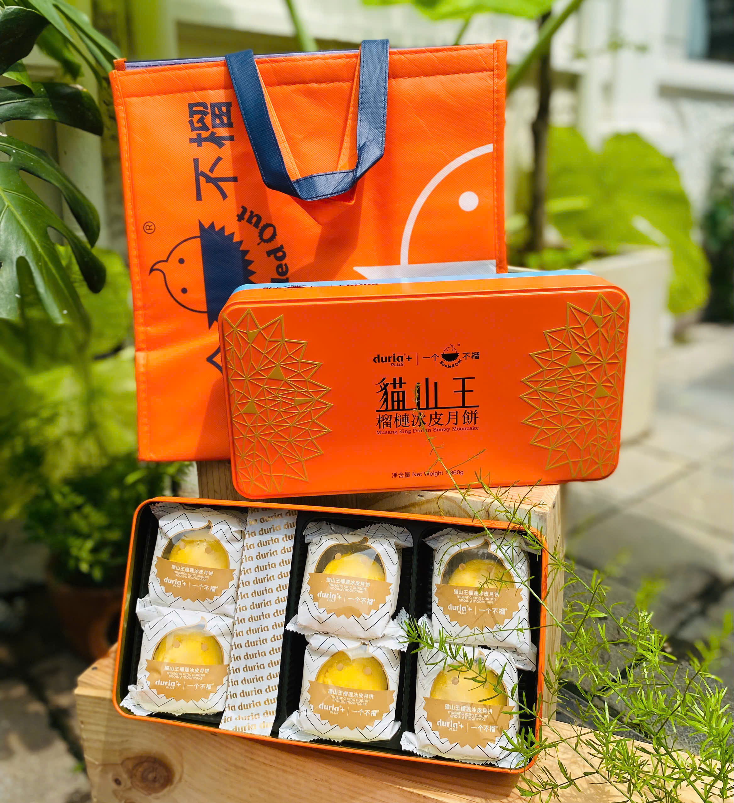 Set Bánh sầu riêng Musang King quà Tết đẳng cấp