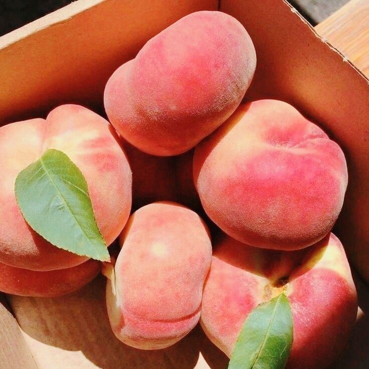Bí kíp bảo quản đào tươi cùng Au Gourmet