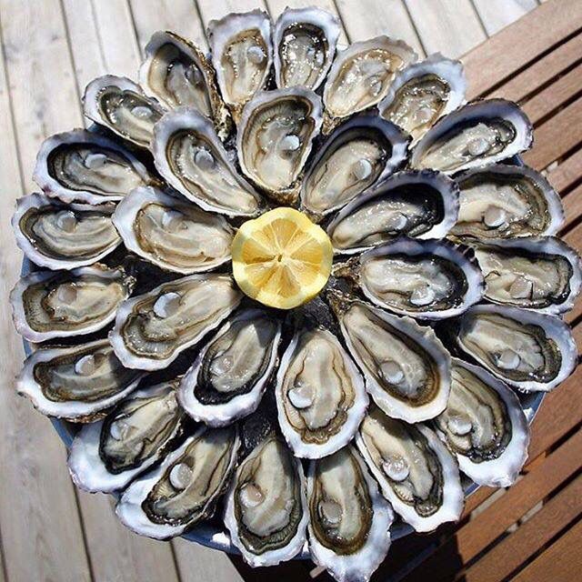 Hàu Gillardeau hương vị tinh tuý từ Pháp