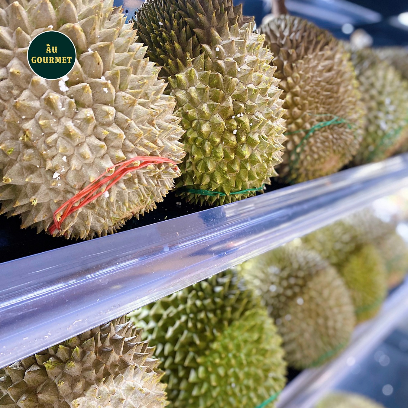 Sầu riêng Musang King Malaysia – Vua của sầu riêng chín cây tươi thượng hạng