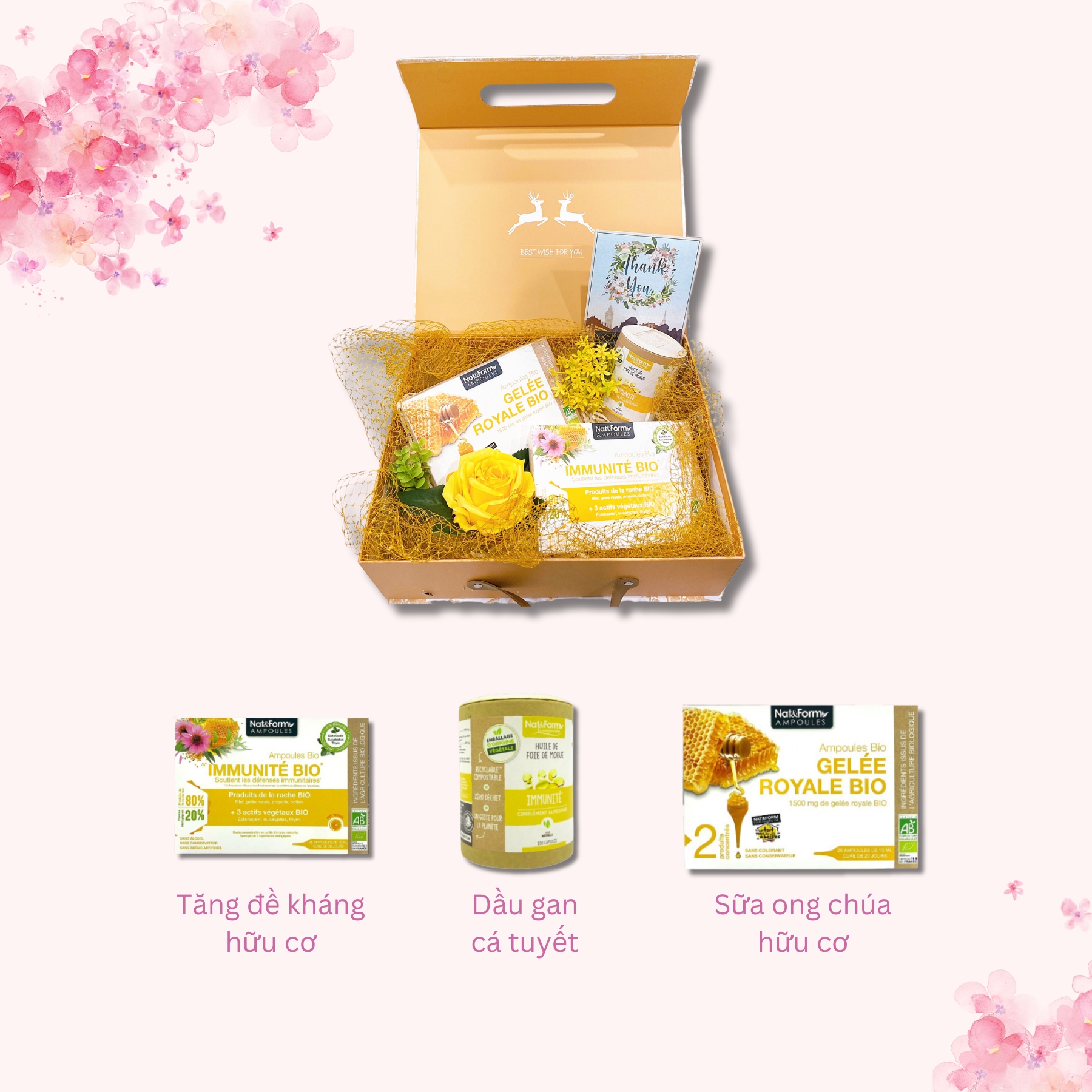 Happy Mother's Day 12/5 - Quà xinh gửi mẹ